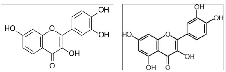 Is fisetin same as quercetin.png